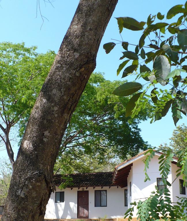 Finca Buena Fuente Residence Hotel Nicoya Extérieur photo