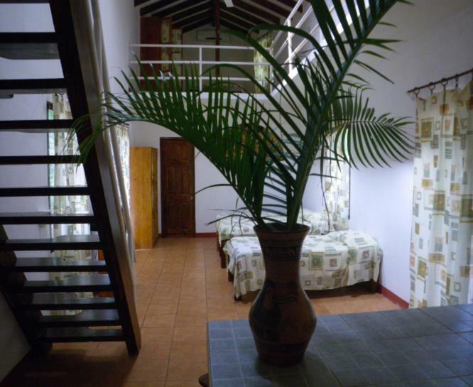 Finca Buena Fuente Residence Hotel Nicoya Extérieur photo